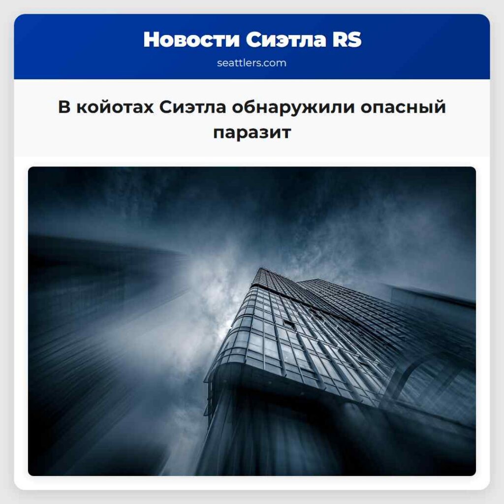В койотах Сиэтла обнаружили опасный паразит