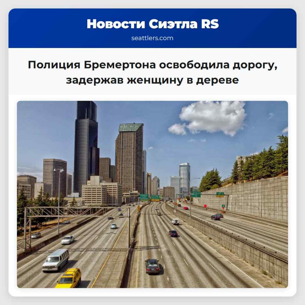 Полиция Бремертона освободила дорогу, задержав