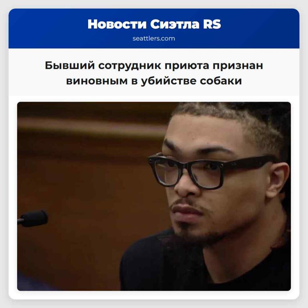 Бывший сотрудник приюта признан виновным в