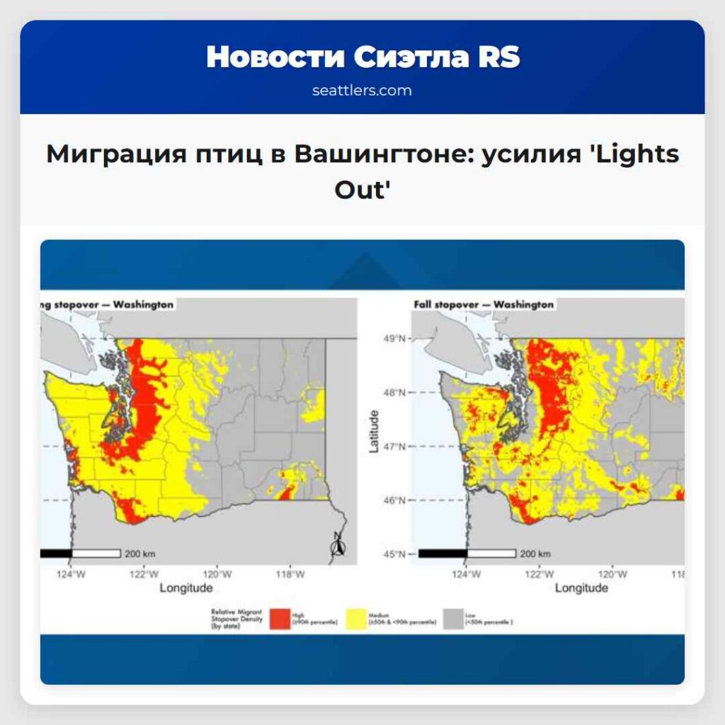 Миграция птиц в Вашингтоне: усилия 'Lights Out'