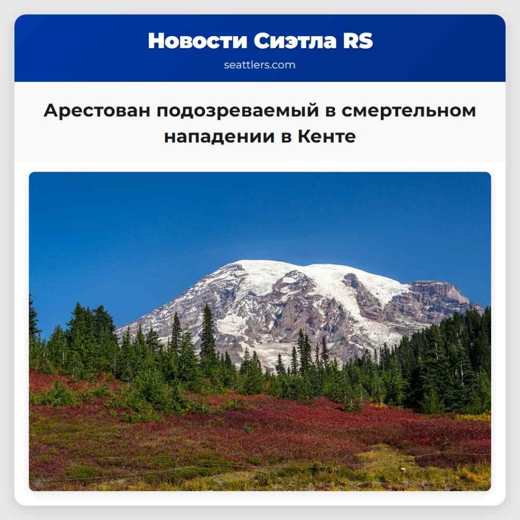 Арестован подозреваемый в смертельном нападении в