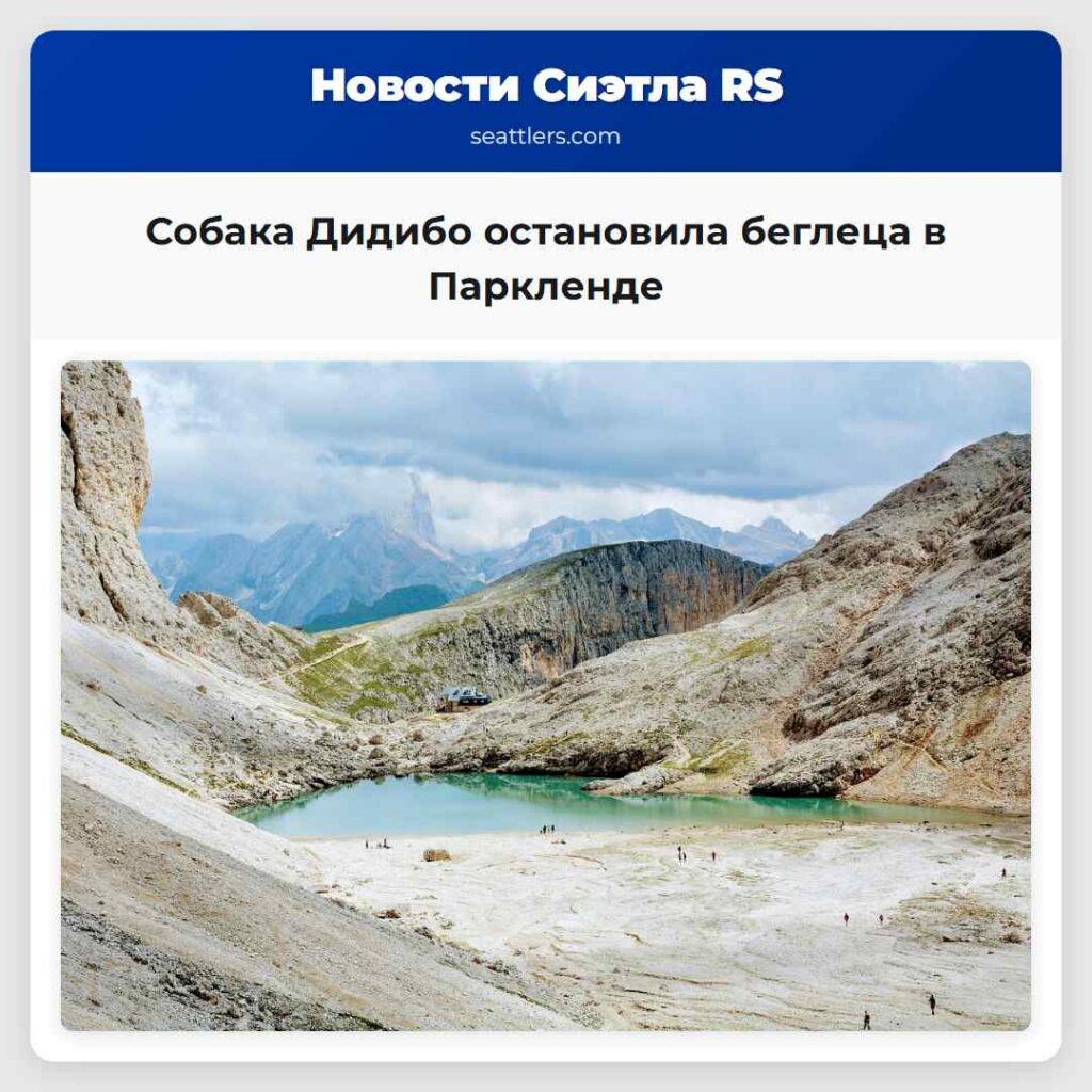 Собака Дидибо остановила беглеца в Паркленде