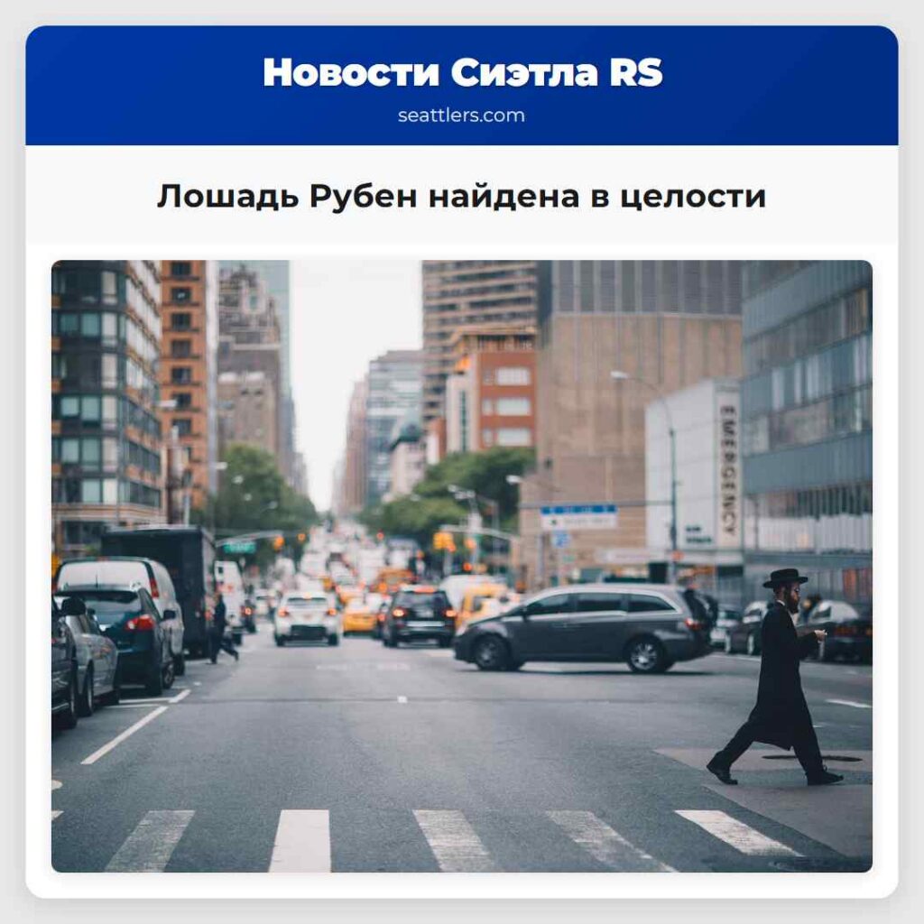 Лошадь Рубен найдена в целости