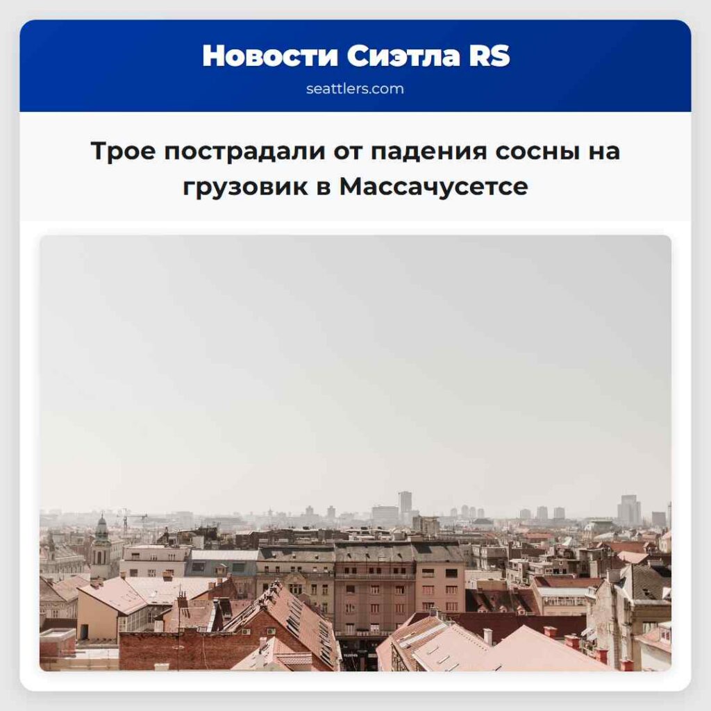 Трое пострадали от падения сосны на грузовик в