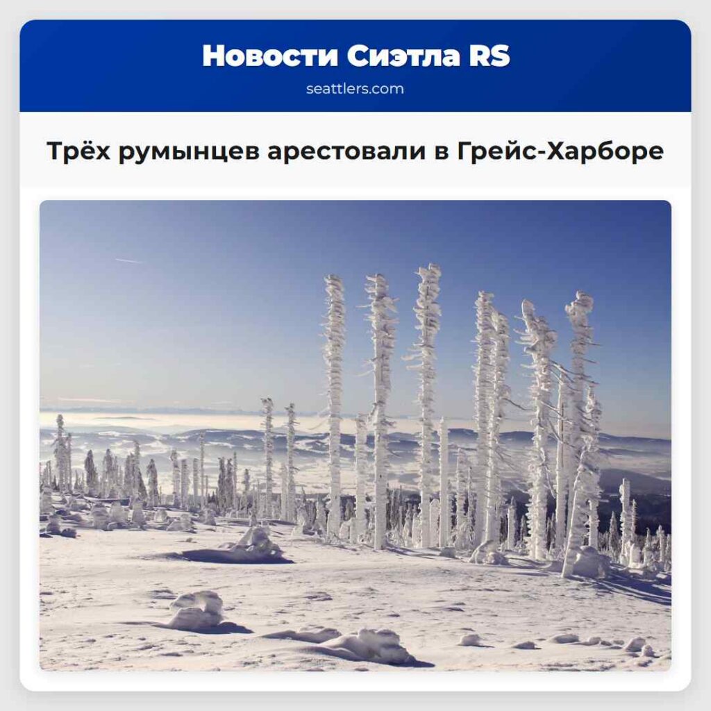 Трёх румынцев арестовали в Грейс-Харборе