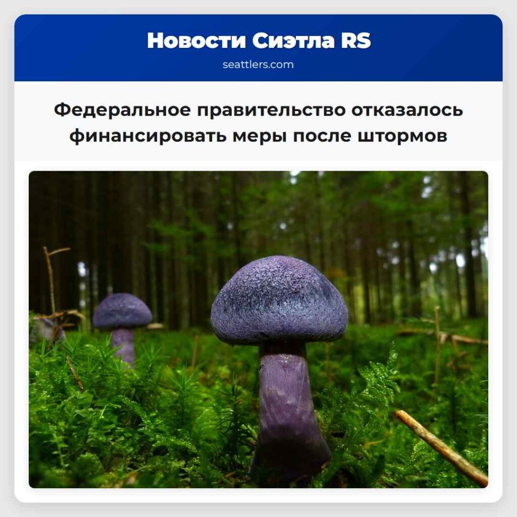 Федеральное правительство отказалось