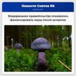 Федеральное правительство отказалось финансировать меры после штормов