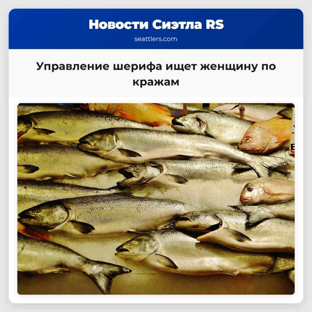 Управление шерифа ищет женщину по кражам