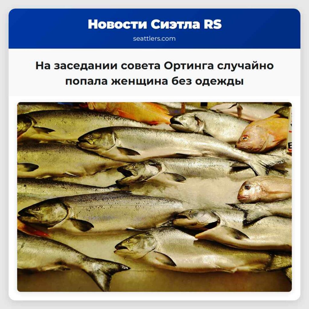 На заседании совета Ортинга случайно попала