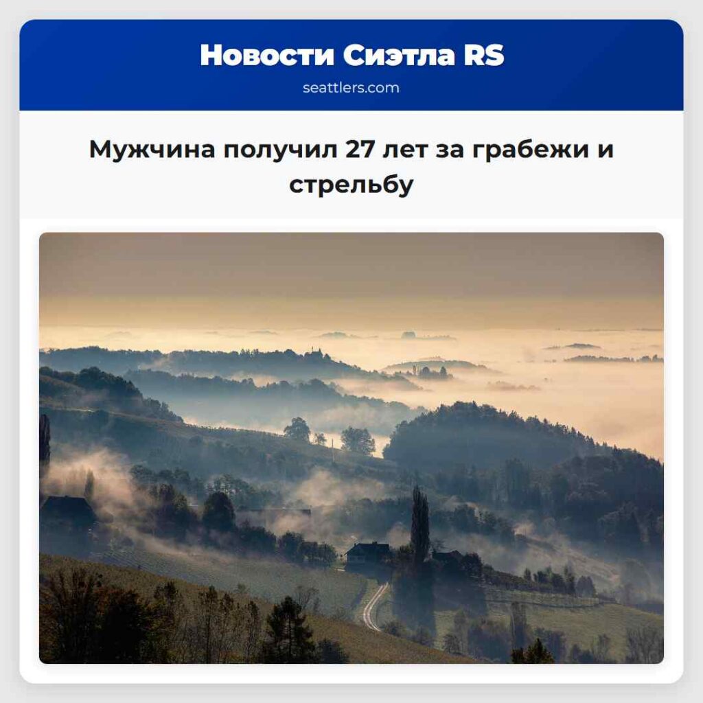Мужчина получил 27 лет за грабежи и стрельбу