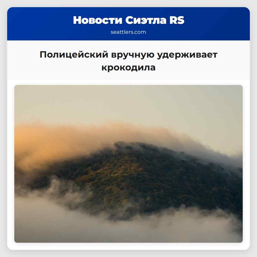 Полицейский вручную удерживает крокодила