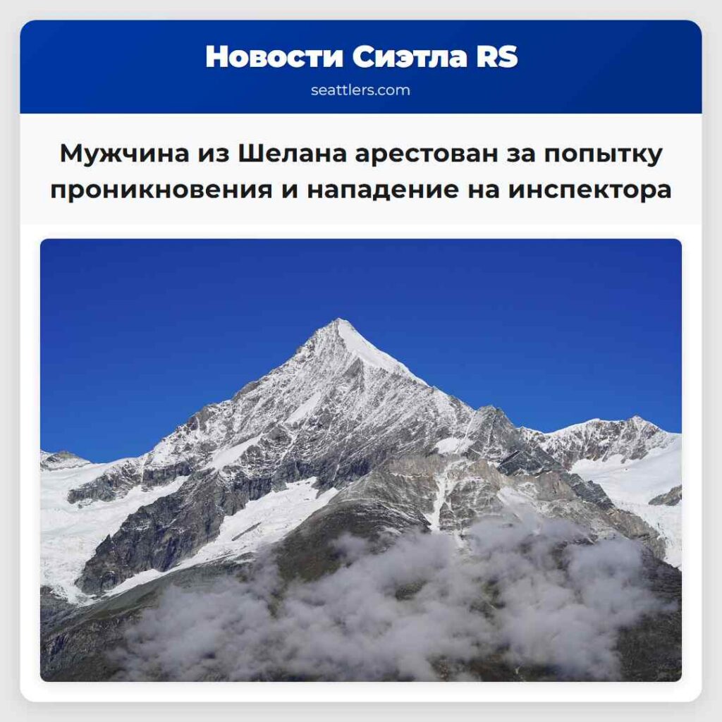 Мужчина из Шелана арестован за попытку