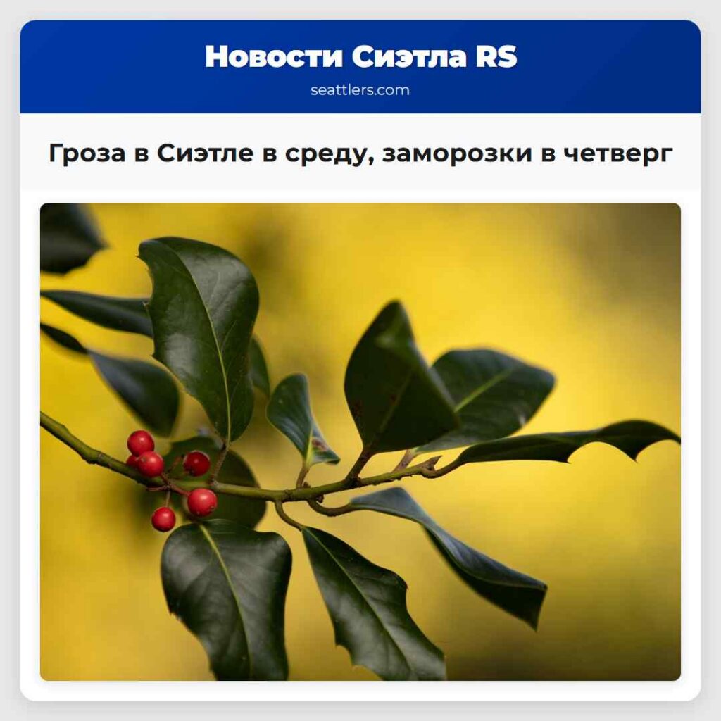 Гроза в Сиэтле в среду, заморозки в четверг