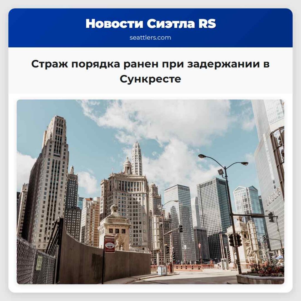Страж порядка ранен при задержании в Сункресте