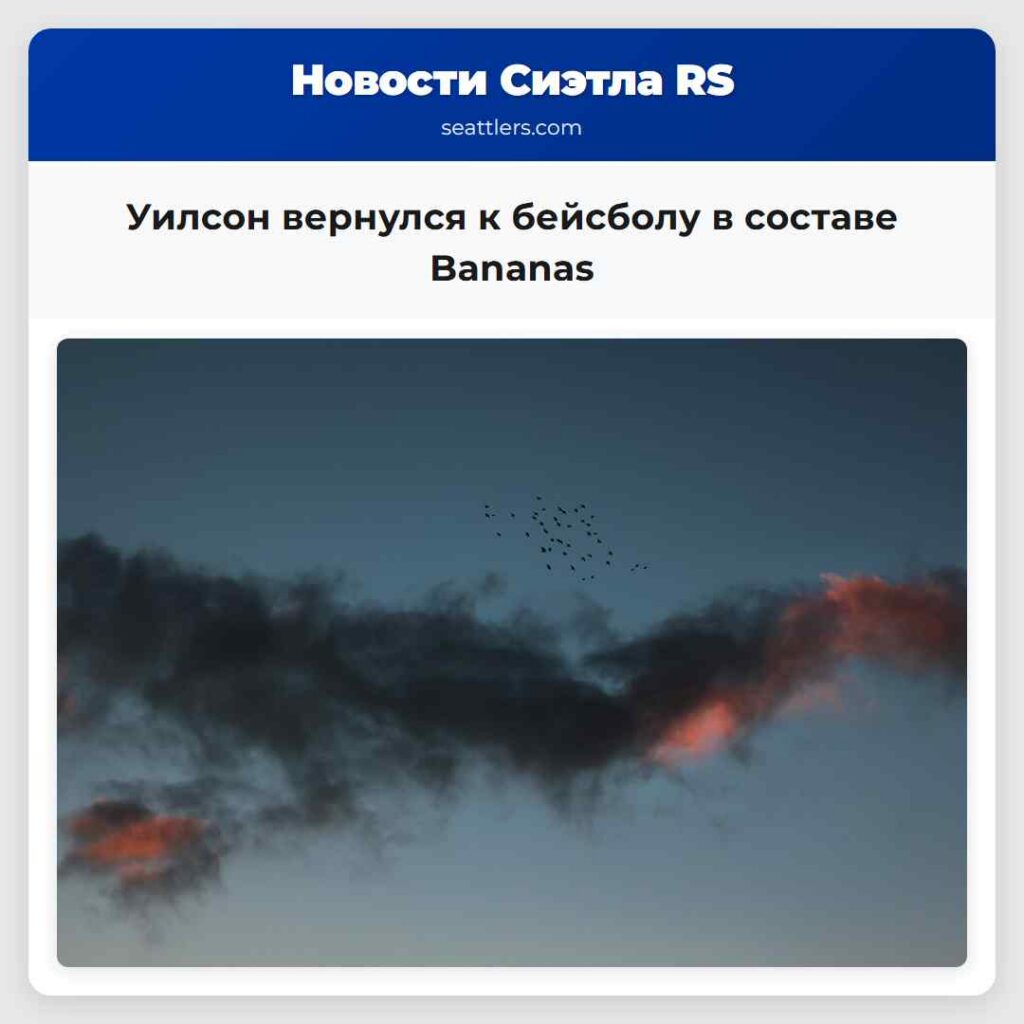 Уилсон вернулся к бейсболу в составе Bananas