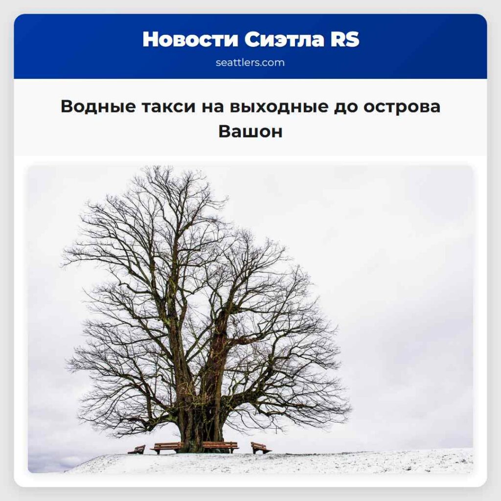 Водные такси на выходные до острова Вашон