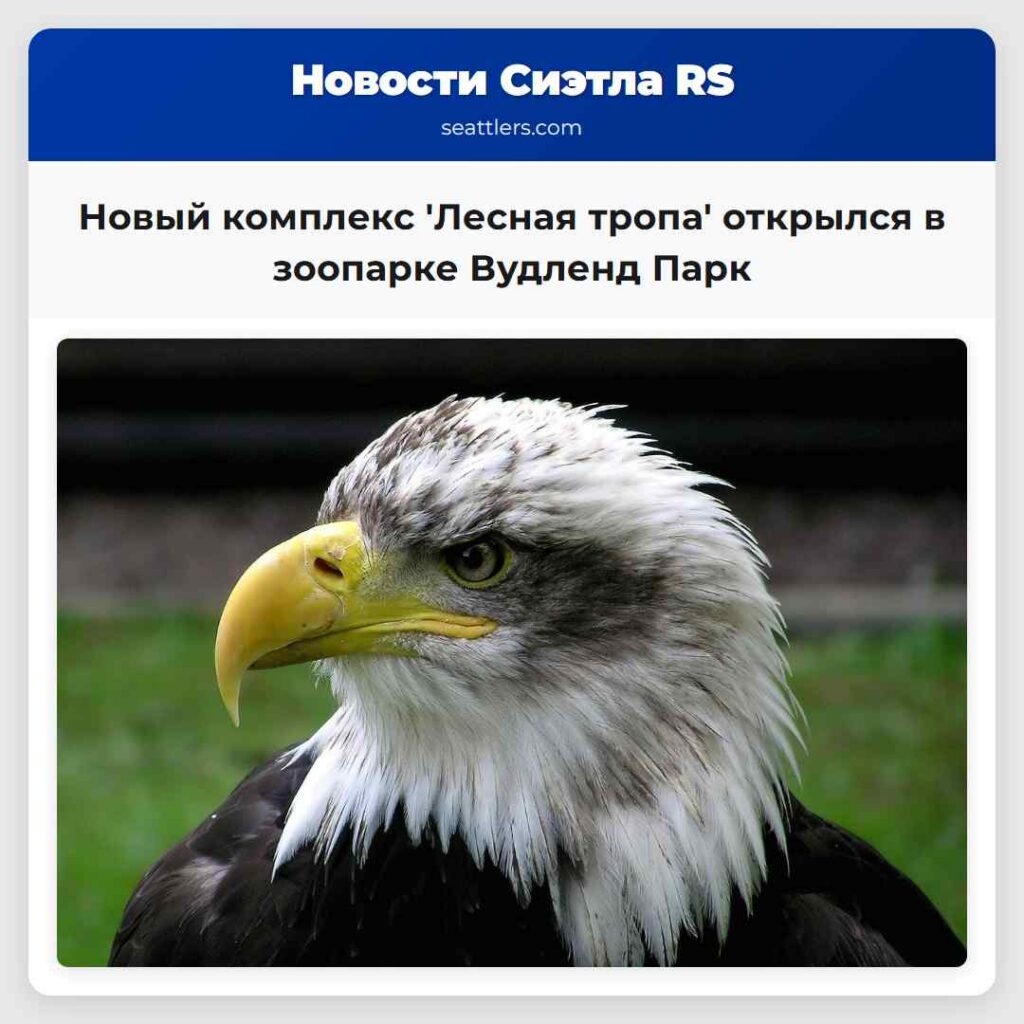 Новый комплекс 'Лесная тропа' открылся в зоопарке