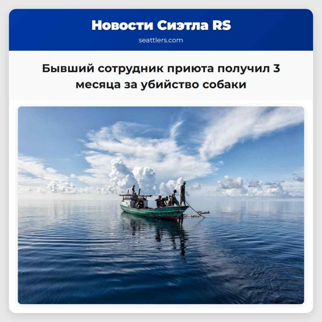 Бывший сотрудник приюта получил 3 месяца за
