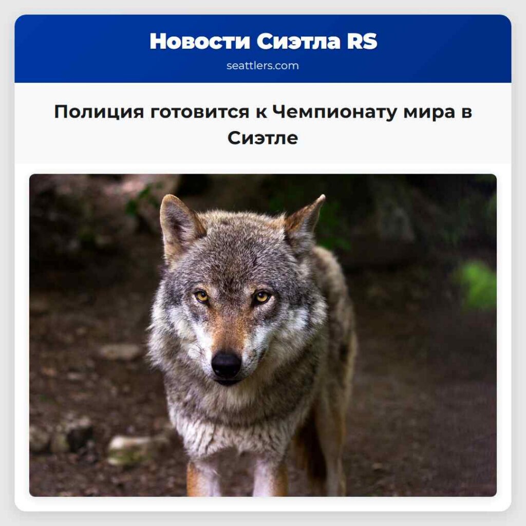 Полиция готовится к Чемпионату мира в Сиэтле