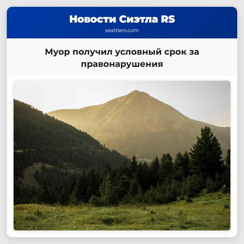 Муор получил условный срок за правонарушения