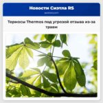 Термосы Thermos под угрозой отзыва из-за травм