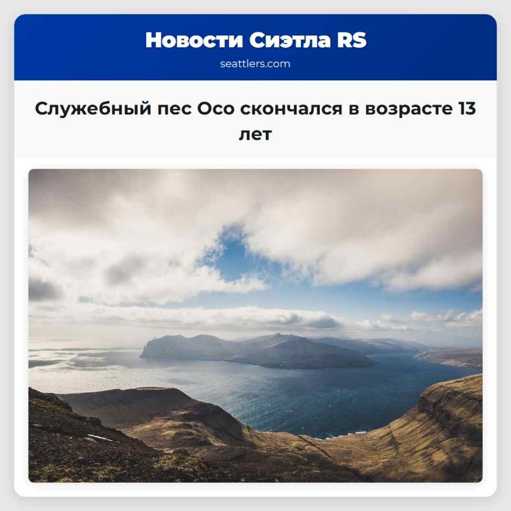 Служебный пес Осо скончался в возрасте 13 лет