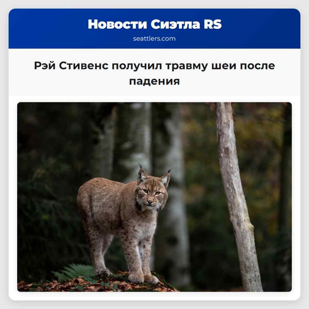 Рэй Стивенс получил травму шеи после падения