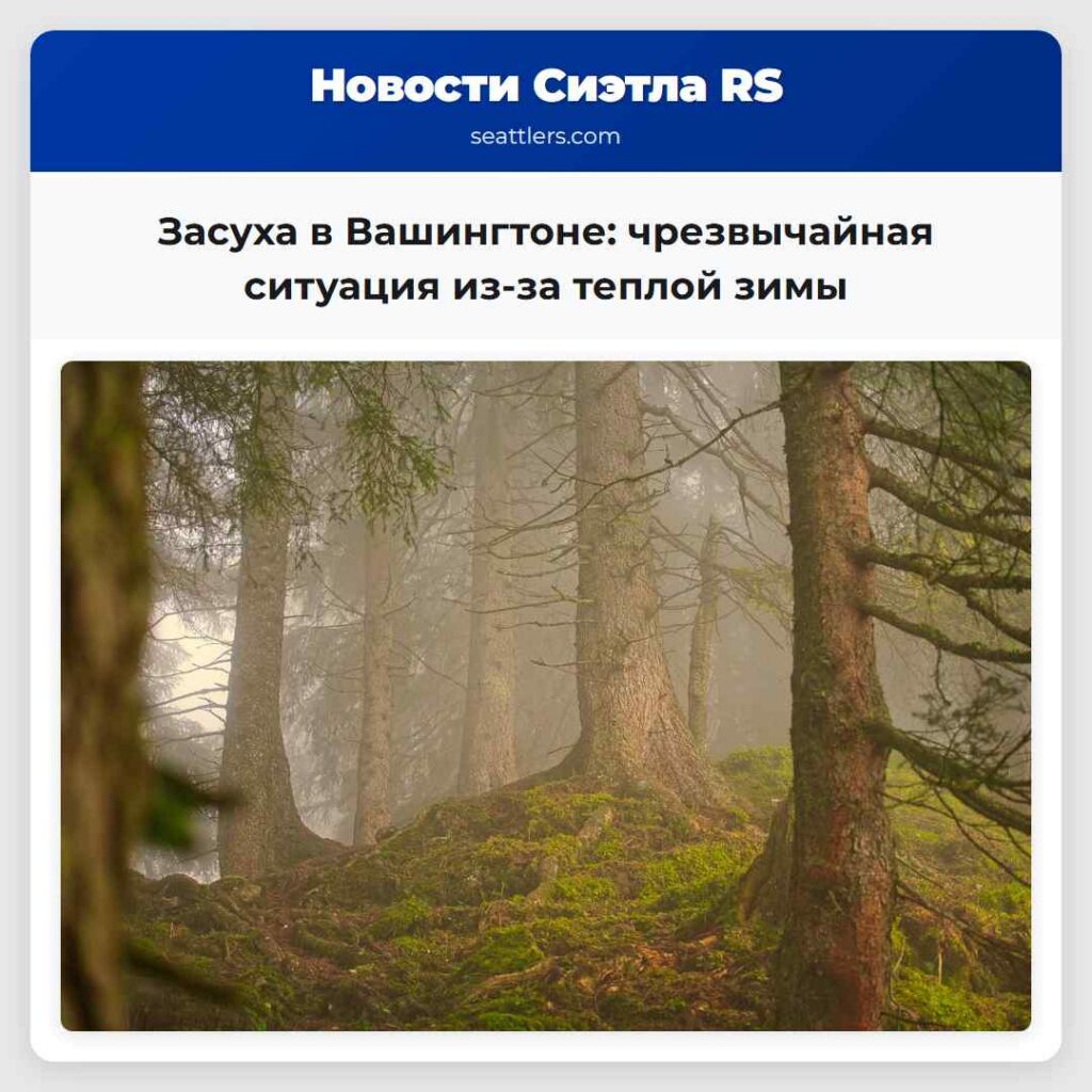 Засуха в Вашингтоне: чрезвычайная ситуация из-за