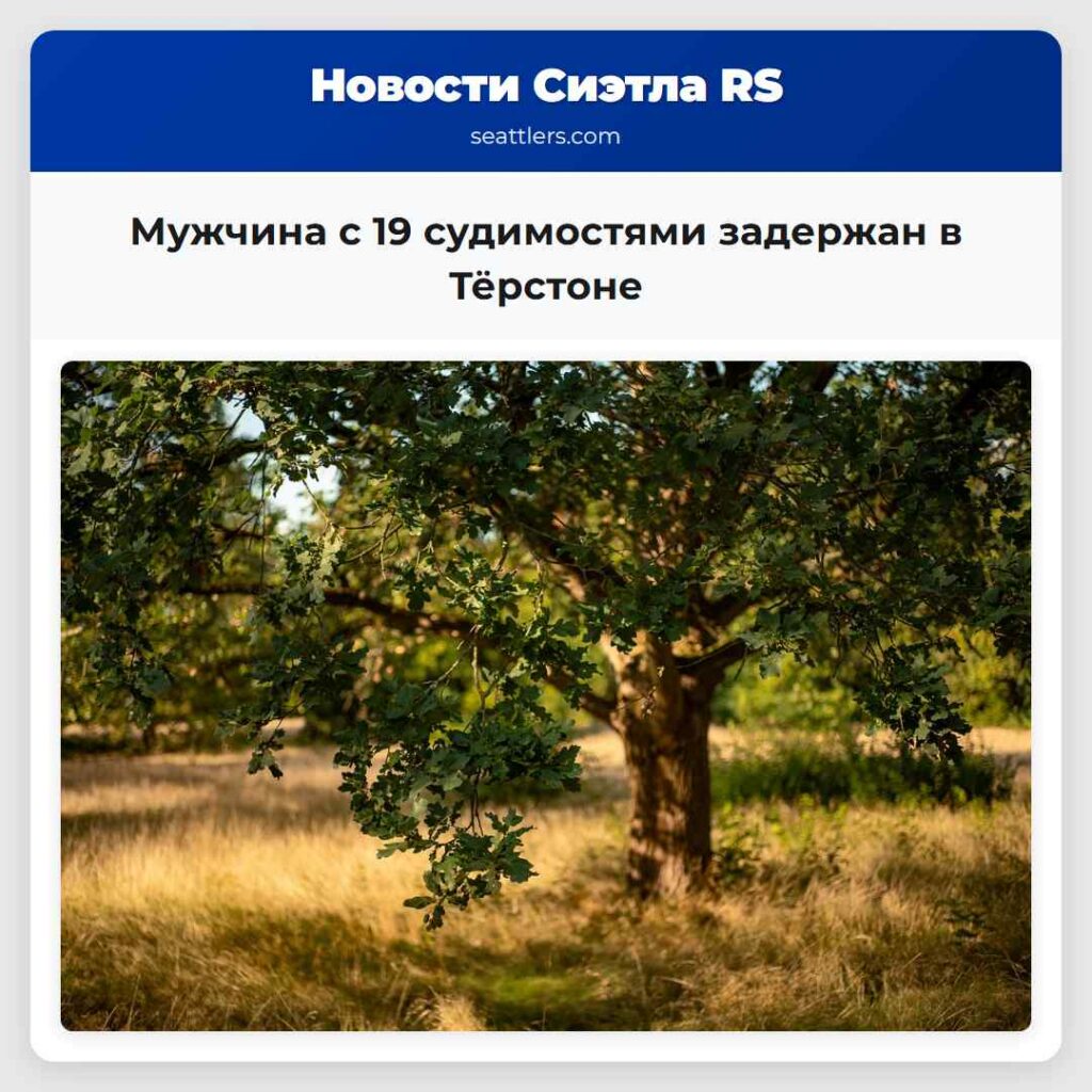 Мужчина с 19 судимостями задержан в Тёрстоне