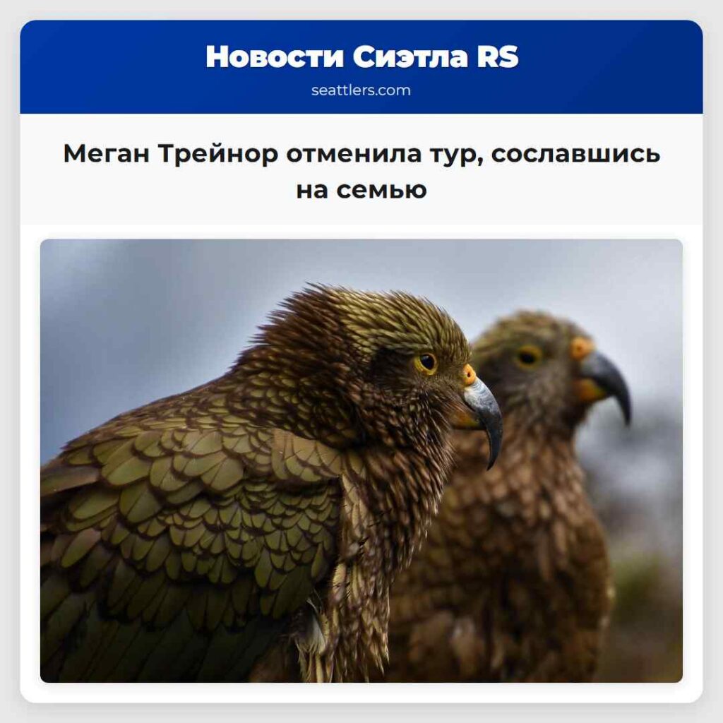 Меган Трейнор отменила тур, сославшись на семью