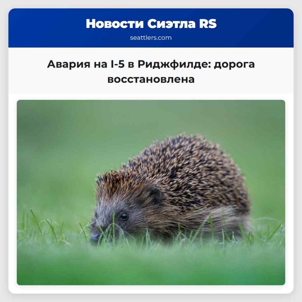 Авария на I-5 в Риджфилде: дорога восстановлена