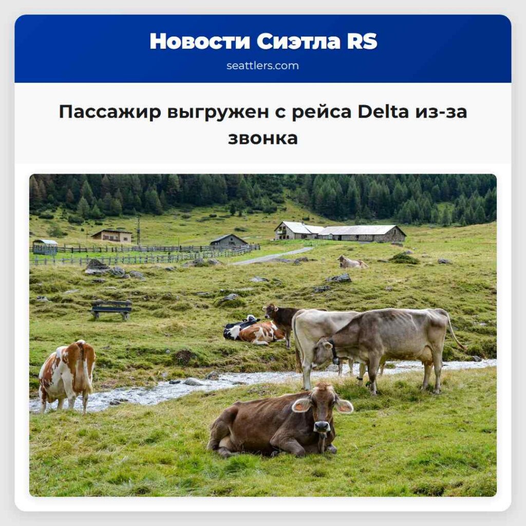 Пассажир выгружен с рейса Delta из-за звонка