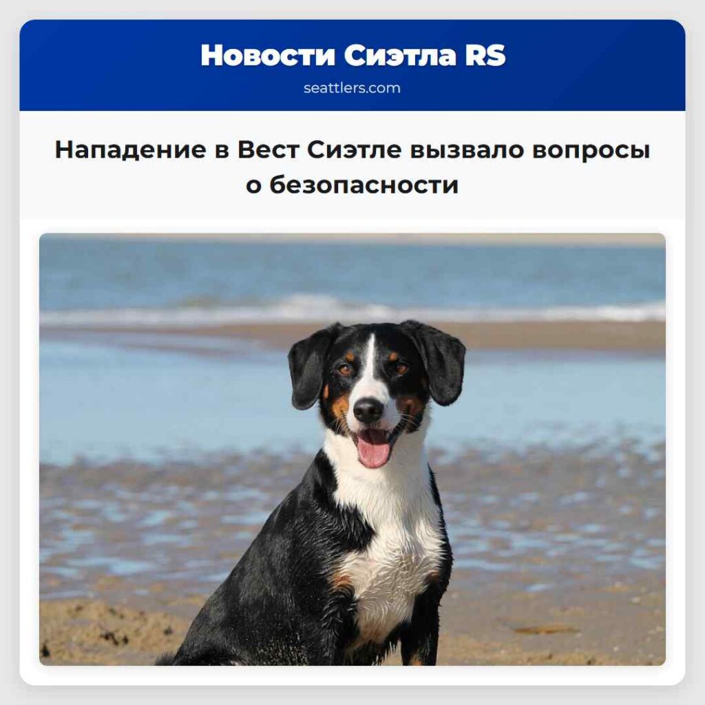 Нападение в Вест Сиэтле вызвало вопросы о