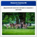 Двухлетний мальчик застрял в машине с когтями