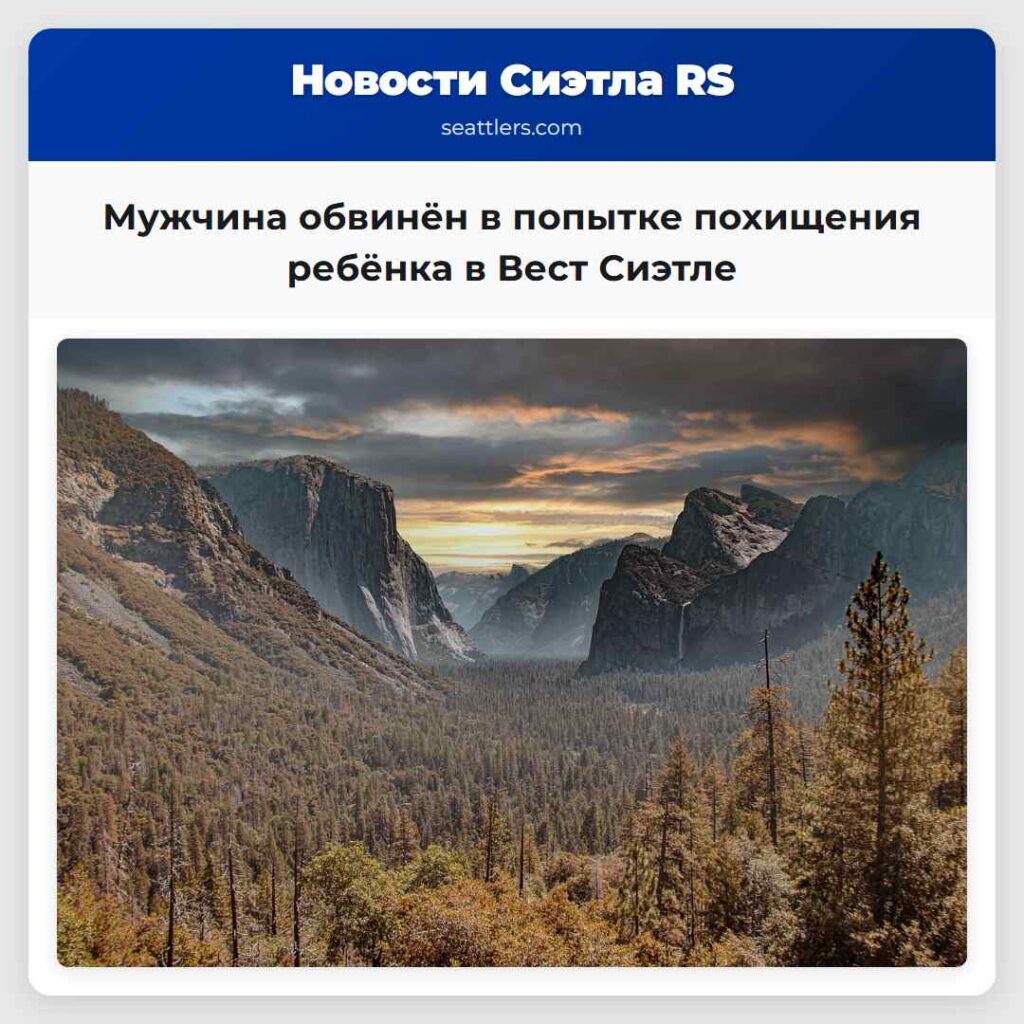 Мужчина обвинён в попытке похищения ребёнка в