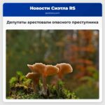 Депутаты арестовали опасного преступника