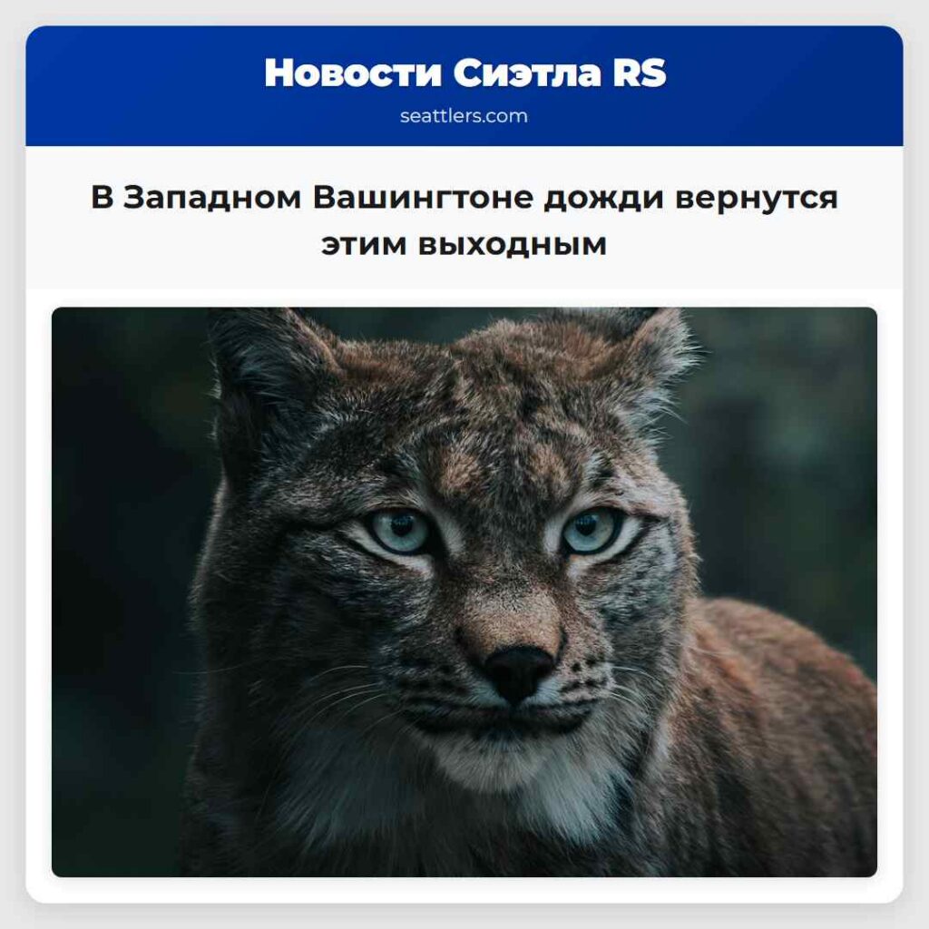 В Западном Вашингтоне дожди вернутся этим выходным