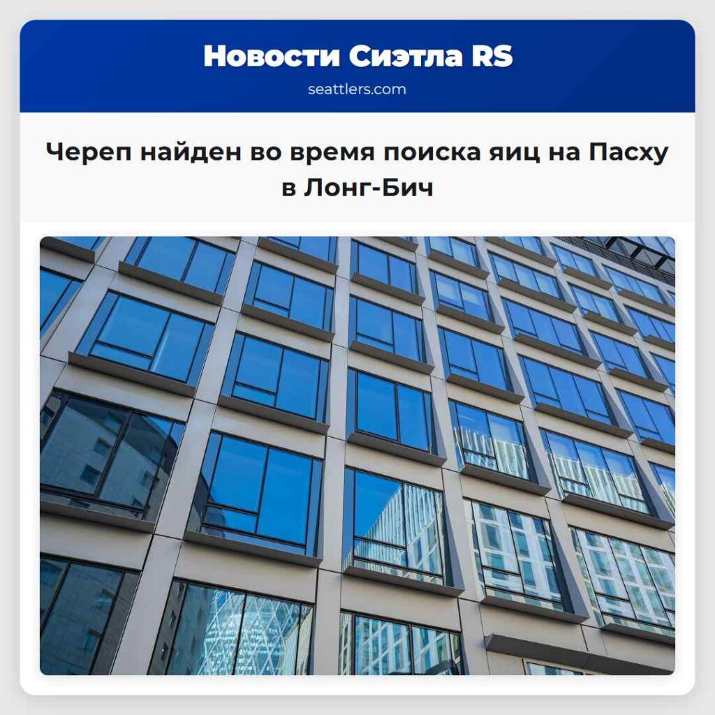 Череп найден во время поиска яиц на Пасху в