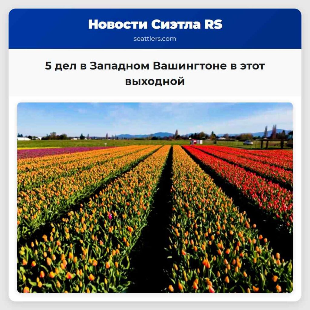 5 дел в Западном Вашингтоне в этот выходной