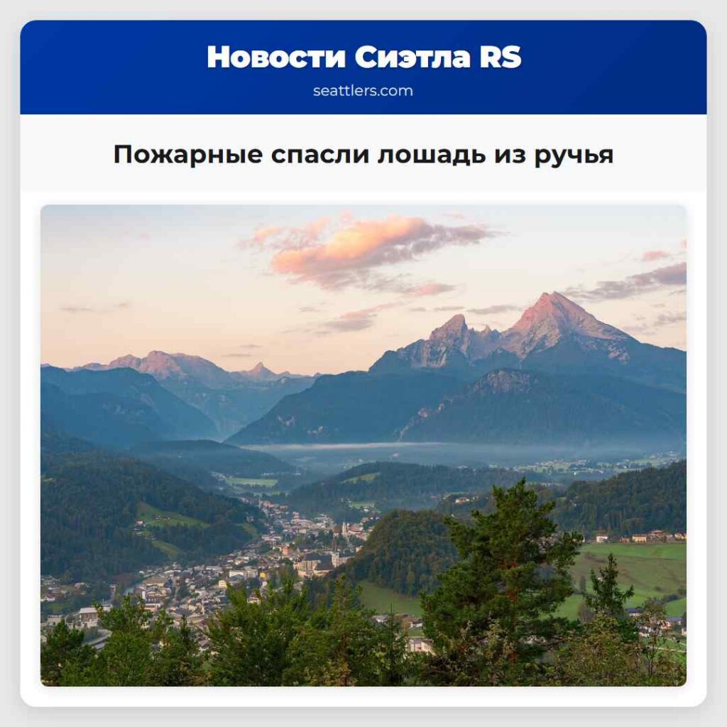 Пожарные спасли лошадь из ручья
