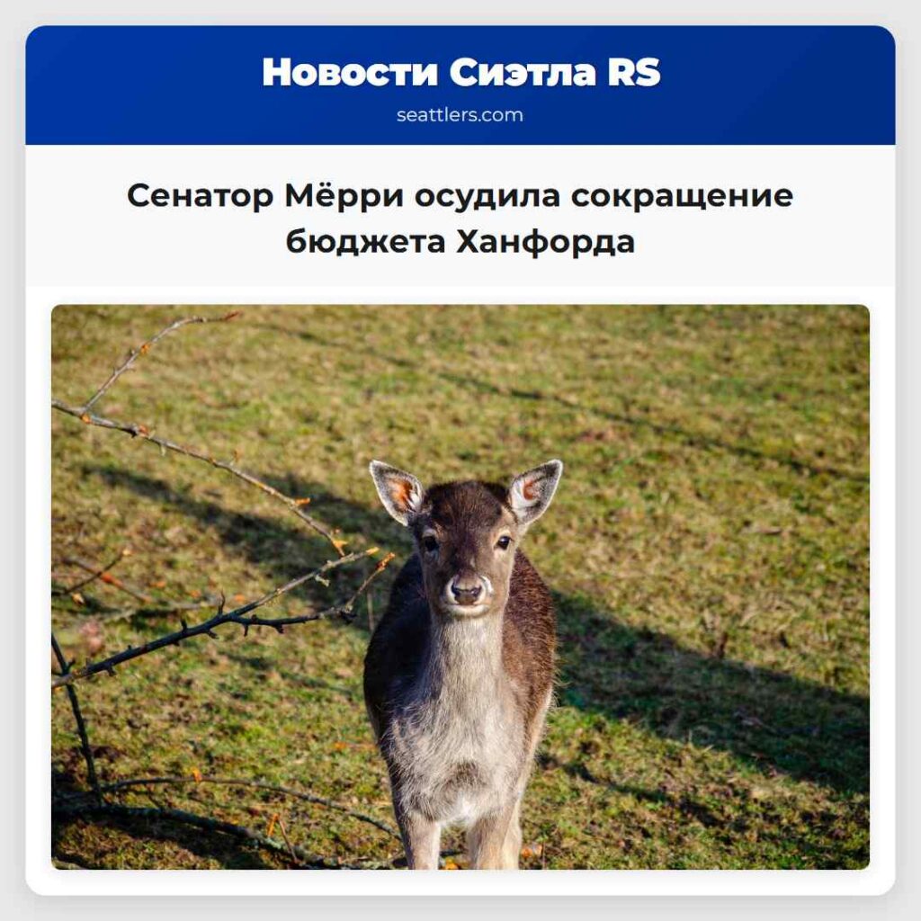 Сенатор Мёрри осудила сокращение бюджета Ханфорда