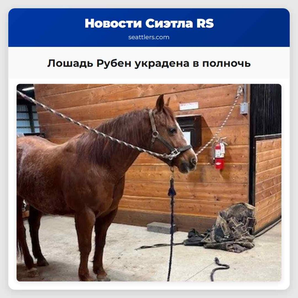 Лошадь Рубен украдена в полночь