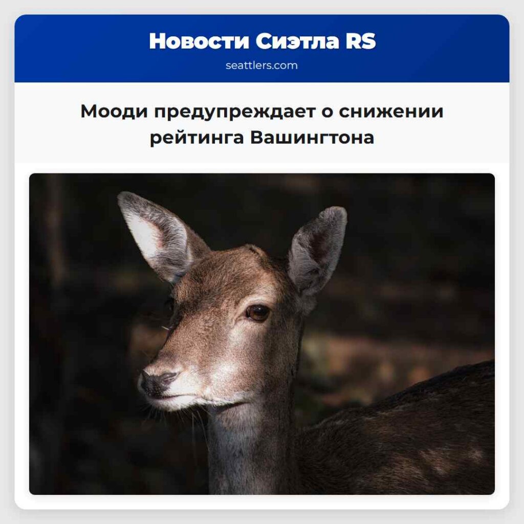 Мооди предупреждает о снижении рейтинга Вашингтона