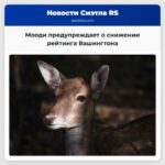 Мооди предупреждает о снижении рейтинга Вашингтона