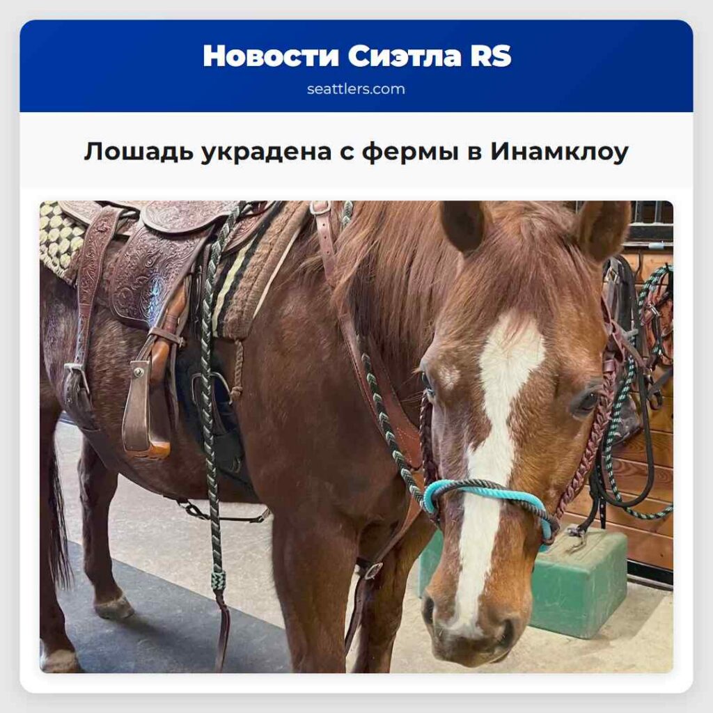 Лошадь украдена с фермы в Инамклоу