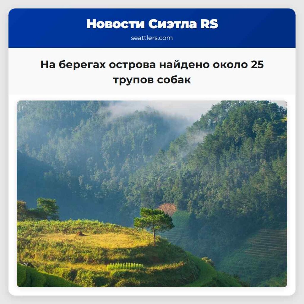 На берегах острова найдено около 25 трупов собак