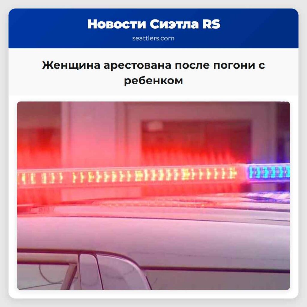 Женщина арестована после погони с ребенком