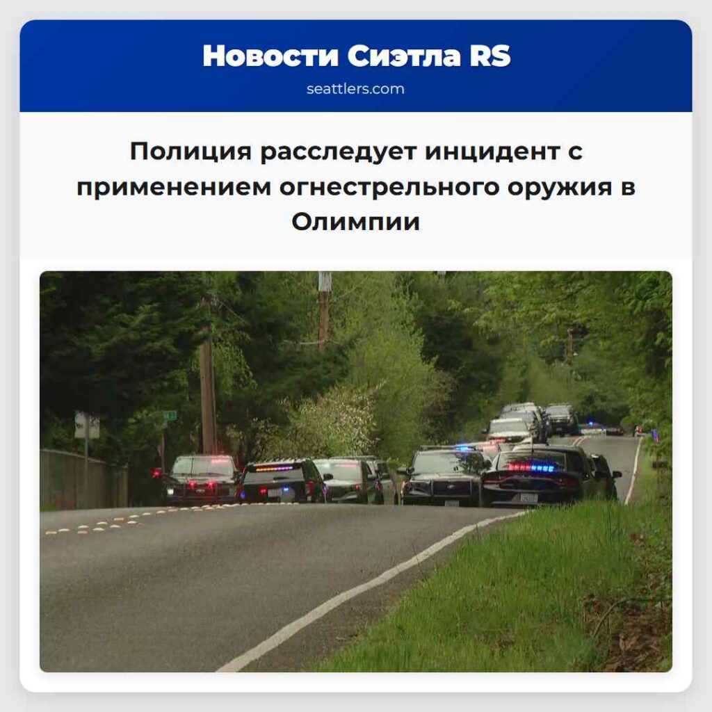 Полиция расследует инцидент с применением