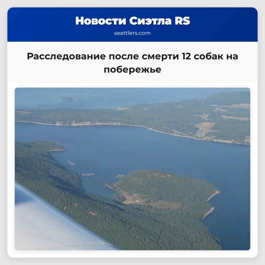 Расследование после смерти 12 собак на побережье