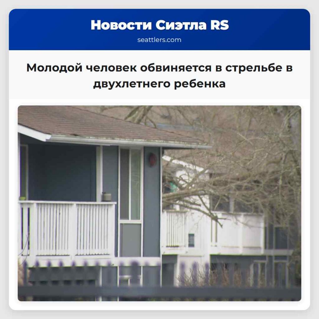 Молодой человек обвиняется в стрельбе в